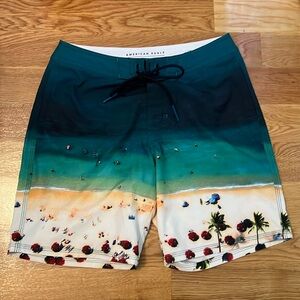 American Eagle Outfitters Swim Trunks Beach Canvas